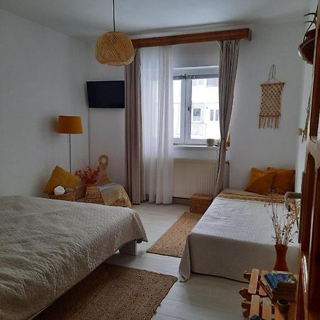 Cocooning In A Lovely Mountain Suite - Two Azuga Bagian luar foto