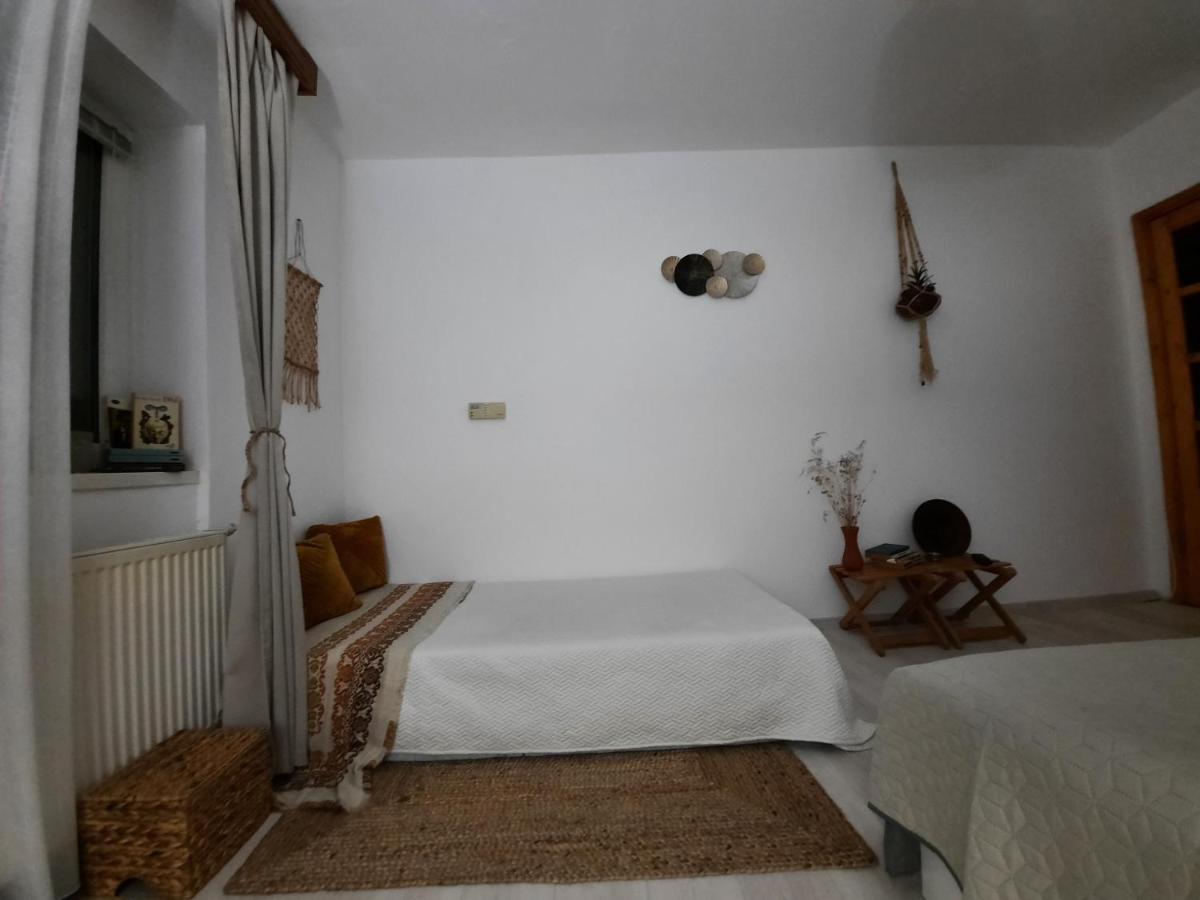 Cocooning In A Lovely Mountain Suite - Two Azuga Bagian luar foto